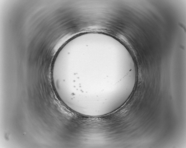 X0000101441336200807281014