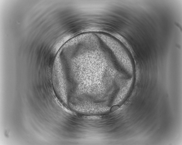 X0000101441337200807281014