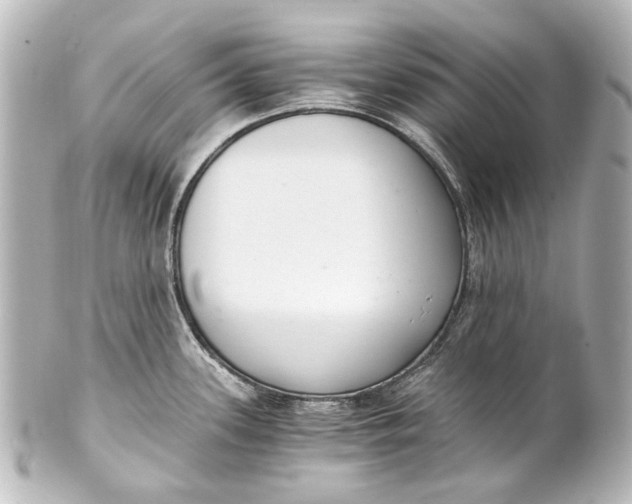 X0000101441339200807281014