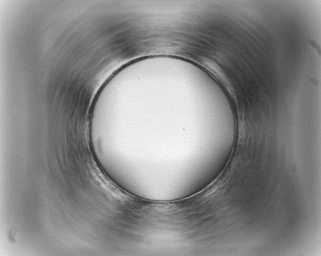 X0000101441340200807281014