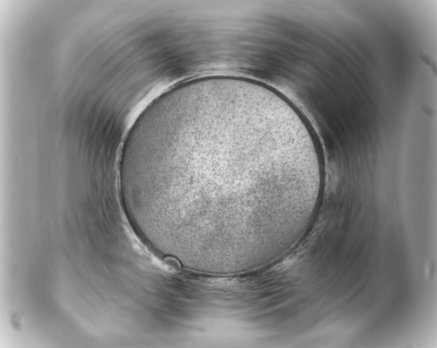 X0000101441341200807281014