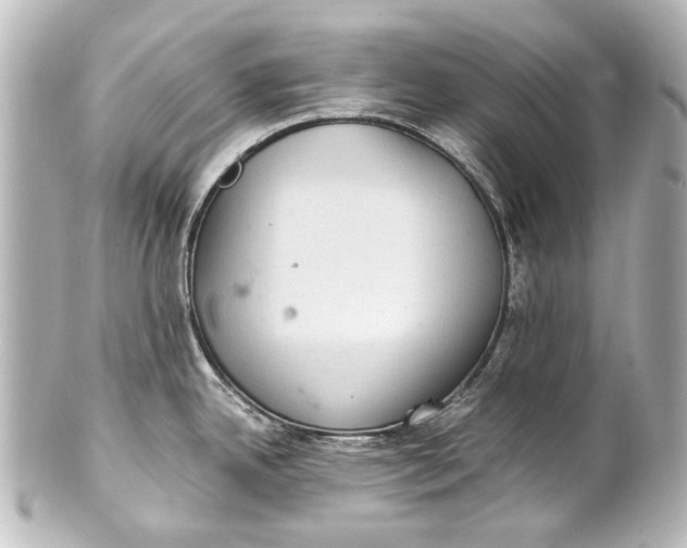 X0000101441342200807281014