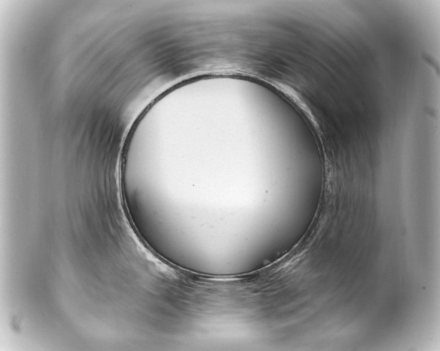 X0000101441343200807281014