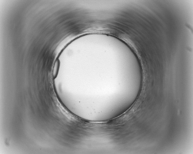 X0000101441344200807281014