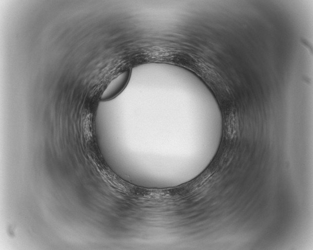 X0000101441346200807281013