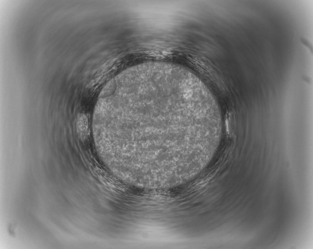 X0000101441347200807281013