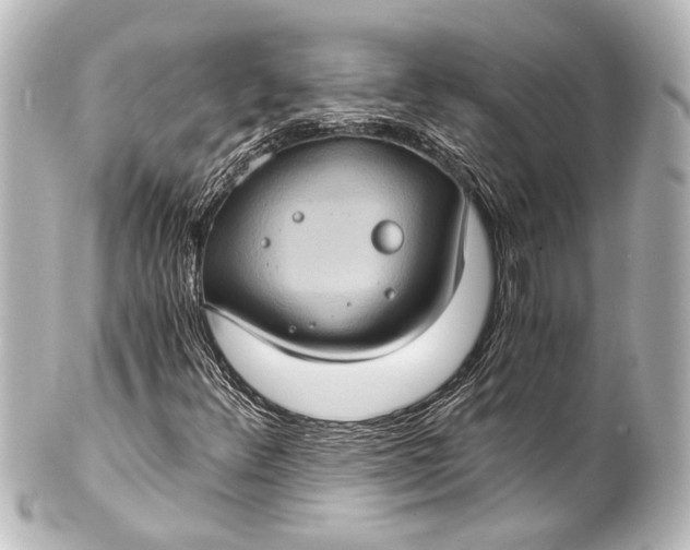 X0000101441348200807281013