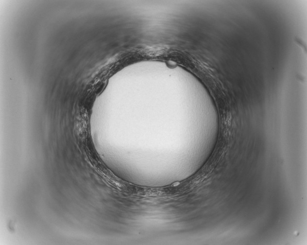 X0000101441349200807281013