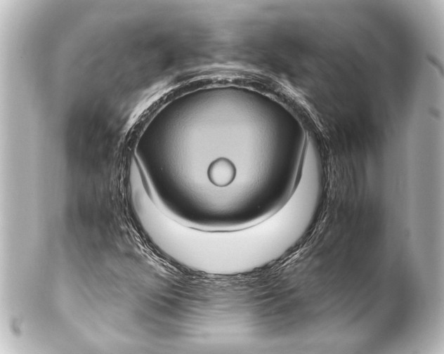 X0000101441352200807281013