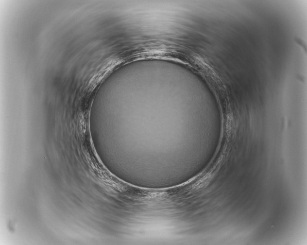 X0000101441353200807281013