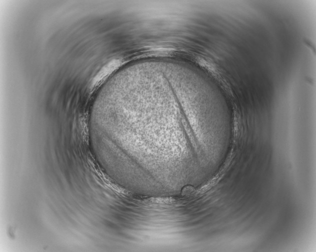 X0000101441354200807281013