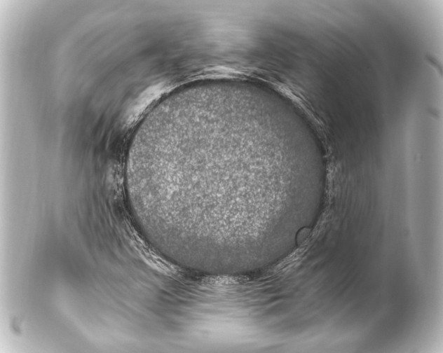 X0000101441355200807281013