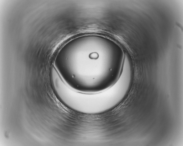 X0000101441356200807281013