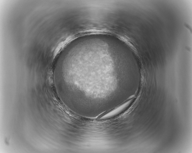 X0000101441357200807281013