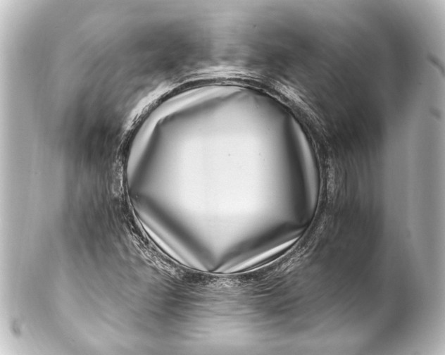 X0000101441358200807281013