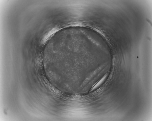 X0000101441359200807281013