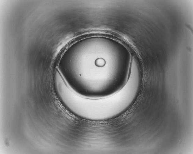 X0000101441360200807281013