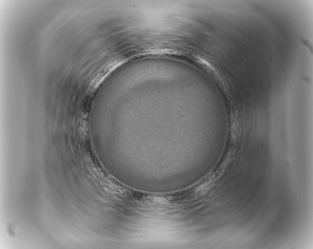 X0000101441361200807281013