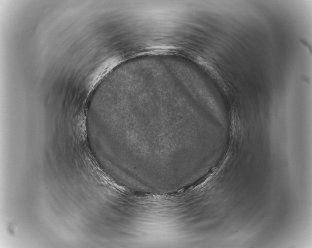 X0000101441362200807281013