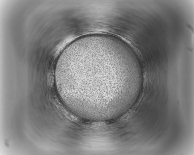 X0000101441363200807281013