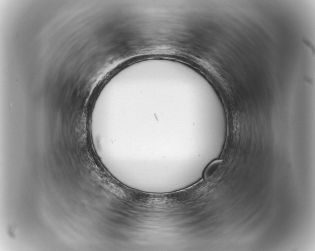 X0000101441364200807281013