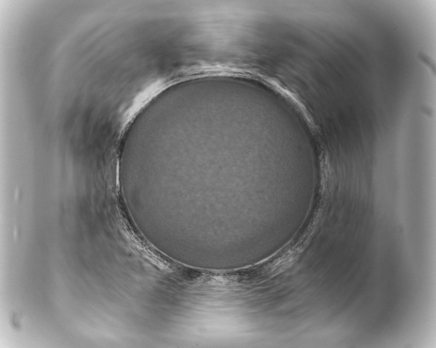 X0000101441365200807281013