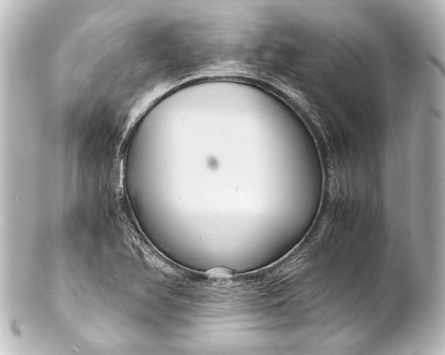 X0000101441366200807281013