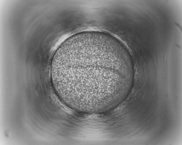 X0000101441367200807281013