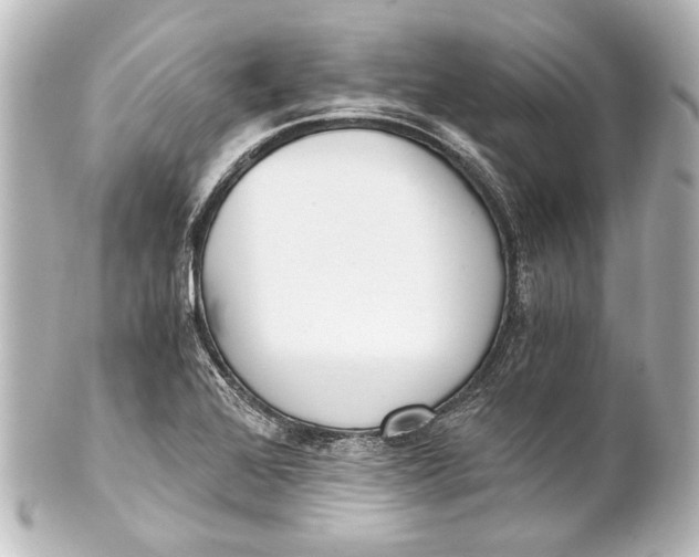 X0000101441368200807281013