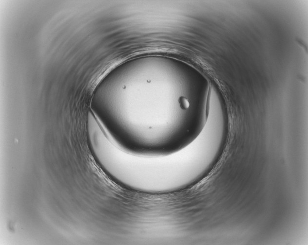 X0000101441369200807281013