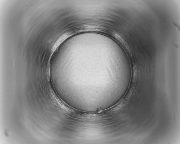 X0000101441370200807281013