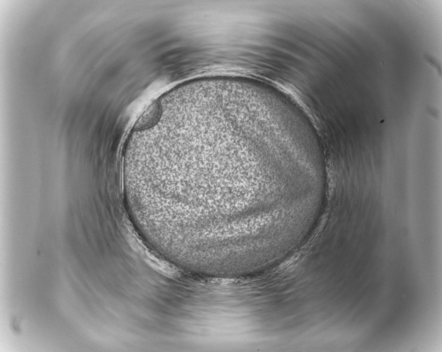 X0000101441371200807281013