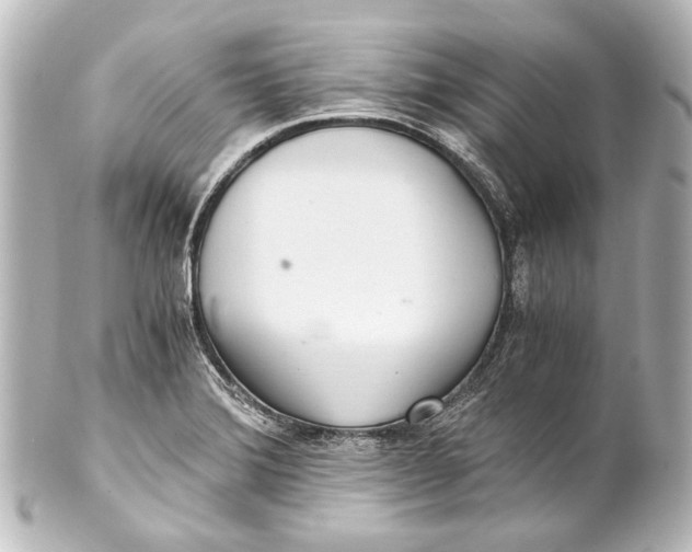 X0000101441372200807281013