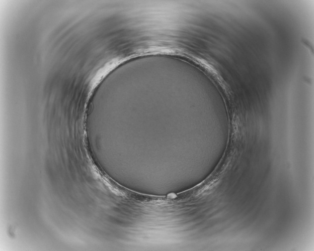 X0000101441373200807281013