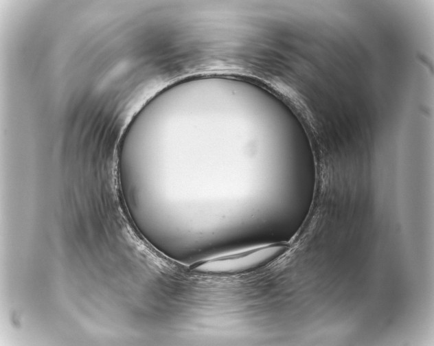 X0000101441374200807281013