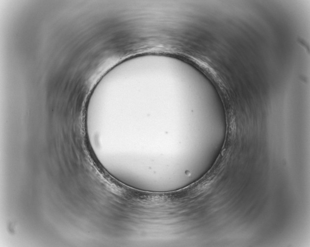 X0000101441375200807281013