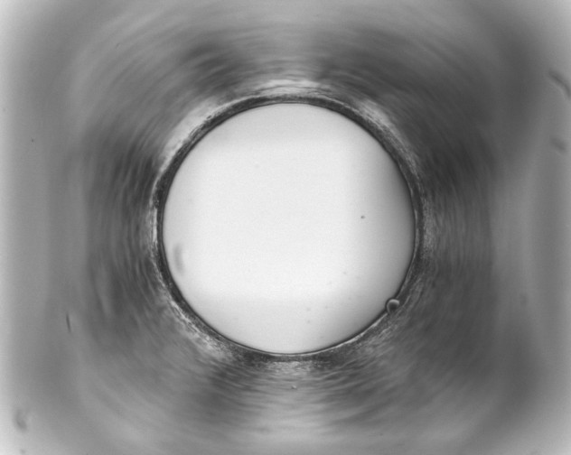 X0000101441376200807281013