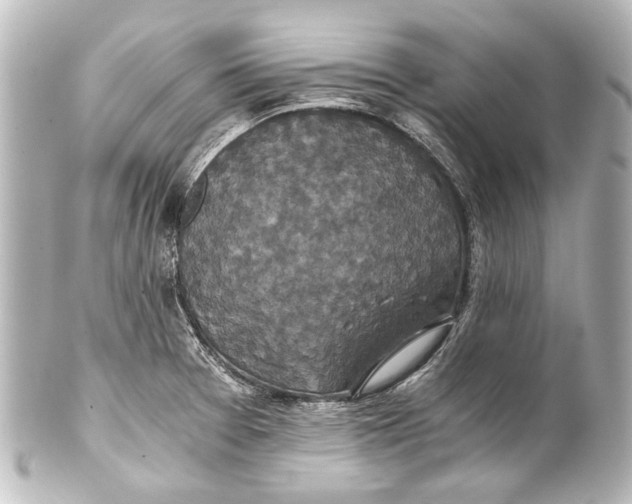 X0000101441377200807281013