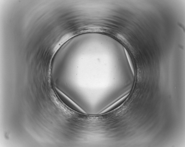 X0000101441378200807281013