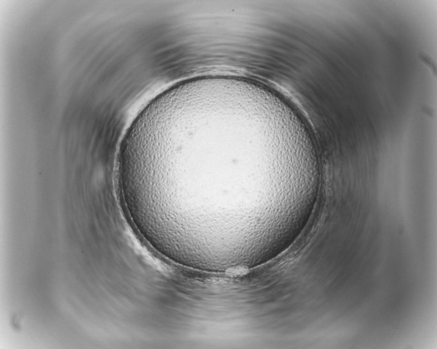 X0000101441379200807281013