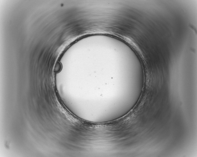 X0000101441380200807281013