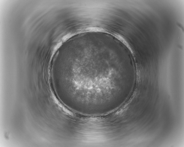 X0000101441381200807281013