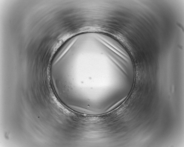 X0000101441382200807281013