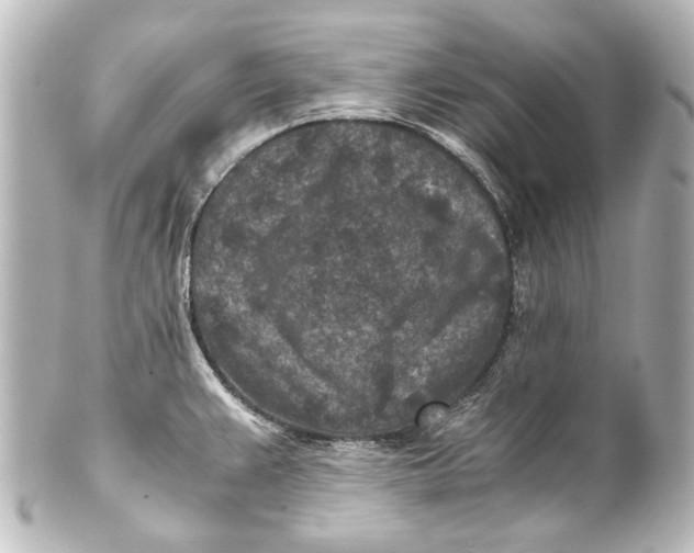 X0000101441383200807281013