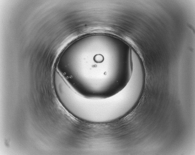 X0000101441384200807281013