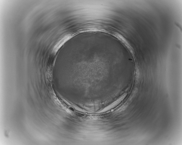 X0000101441385200807281013