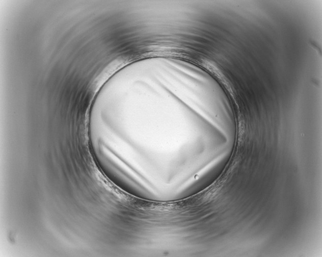 X0000101441386200807281013