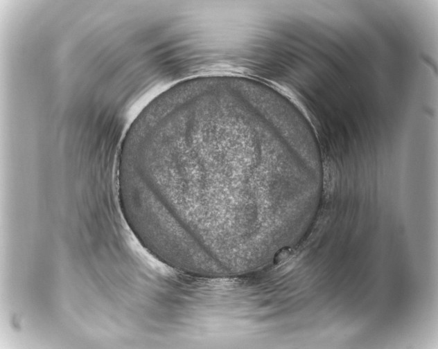 X0000101441387200807281013