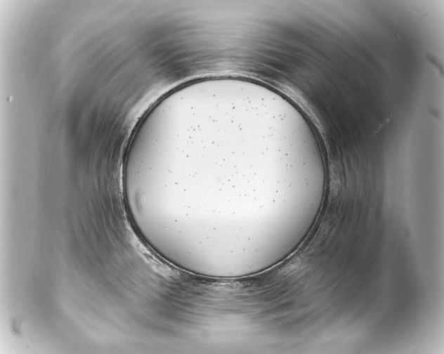 X0000101441388200807281013