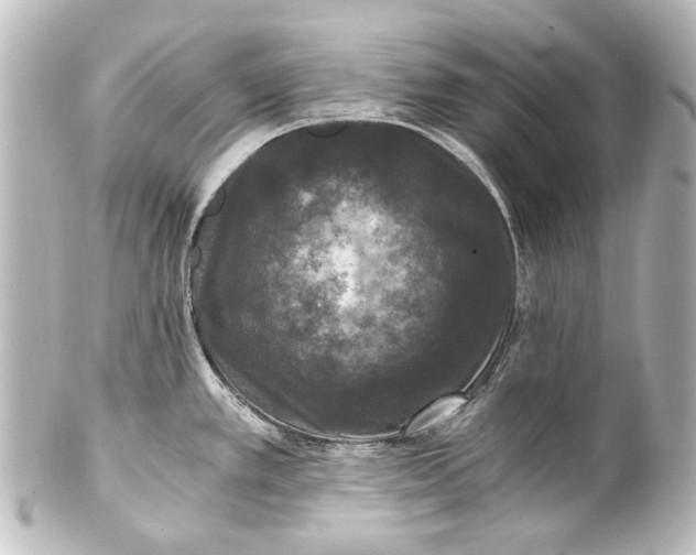 X0000101441389200807281013